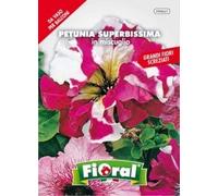 Sementi da fiore di qualità in bustina per uso amatoriale (PETUNIA SUPERBISSIMA IN MISCUGLIO)