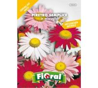 Sementi da fiore di qualità in bustina per uso amatoriale (PIRETRO SEMPLICE IN MISCUGLIO)