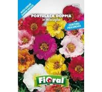 Sementi da fiore di qualità in bustina per uso amatoriale (PORTULACA DOPPIA IN MISCUGLIO)