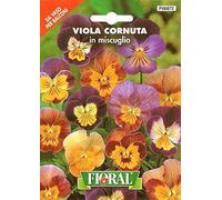 Sementi da fiore di qualità in bustina per uso amatoriale (VIOLA CORNUTA IN MISCUGLIO)