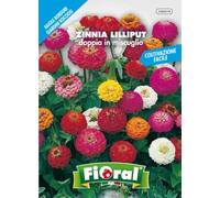 Sementi da fiore di qualità in bustina per uso amatoriale (ZINNIA LILLIPUT DOPPIA IN MISCUGLIO)