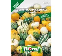 Sementi da fiore di qualità in bustina per uso amatoriale (ZUCCHETTA ORNAMENTALE IN MISCUGLIO)