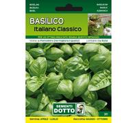 Sementi da Orto - Basilico Italiano classico - Sem. Dotto