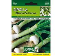 Sementi da Orto - Cipolla Bianca di Lisbona - Sem. Dotto
