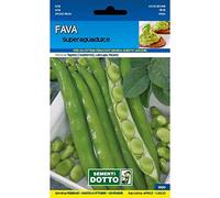 Sementi da Orto - Fava da orto Superaguadulce - Sem. Dotto