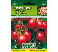 Sementi da Orto - Pomodoro Principe Borghese - Sem. Dotto