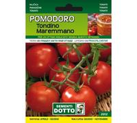 Sementi da Orto - Pomodoro Tondino Maremmano - Sem. Dotto