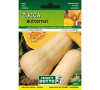 Sementi da Orto - Zucca Butternut - Sem. Dotto