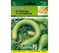 Sementi da Orto - Zucca di Albenga o Trombetta - Sem. Dotto