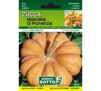 Sementi da Orto - Zucca Moscata di Provenza - Sem. Dotto