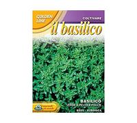 SEMENTI DI BASILICO VERDE A PICCOLE FOGLIE orto giardino semi seeds