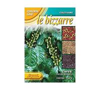 SEMENTI DI CAFFE' arabica orto giardino semi fiori seeds