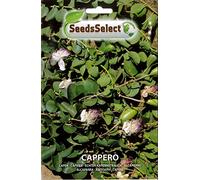 SEMENTI DI CAPPERO BUSTINA 1-2 GR