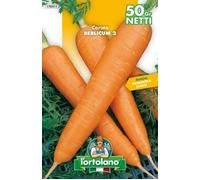 SEMENTI DI ORTAGGI DI QUALITA' IN BUSTE TERMOSALDATE DA 50 GRAMMI (CAROTA BERLICUM 2)