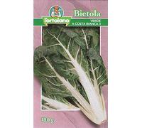 SEMENTI DI ORTAGGI DI QUALITA' IN CONFEZIONI DA 100 GRAMMI E SUPERIORI (BIETOLA VERDE A COSTA BIANCA 3, 100 grammi)