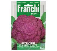 SEMENTI DI ORTAGGI DI QUALITA' PER USO HOBBYSTICO IN BUSTINA TERMOSALDATA (CAVOLFIORE DI SICILIA VIOLETTO)