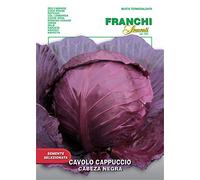 SEMENTI DI ORTAGGI DI QUALITA' PER USO HOBBYSTICO IN BUSTINA TERMOSALDATA (CAVOLO CAPPUCCIO TESTA NERA)