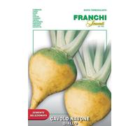 SEMENTI DI ORTAGGI DI QUALITA' PER USO HOBBYSTICO IN BUSTINA TERMOSALDATA (CAVOLO NAVONE GIALLO)