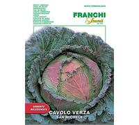 SEMENTI DI ORTAGGI DI QUALITA' PER USO HOBBYSTICO IN BUSTINA TERMOSALDATA (CAVOLO VERZA S.MICHELE)