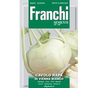 SEMENTI DI ORTAGGI DI QUALITA' PER USO HOBBYSTICO PROTETTE IN DOPPIA BUSTA (CAVOLO RAPA DI VIENNA BIANCO)
