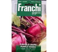 SEMENTI DI ORTAGGI DI QUALITA' PER USO HOBBYSTICO PROTETTE IN DOPPIA BUSTA (CAVOLO RAPA WENER BLAUWE)