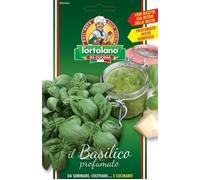 SEMENTI DI ORTAGGI DI VARIETA' STRANE & BUONE IN BUSTINE PER USO HOBBYSTICO (basilico profumato)