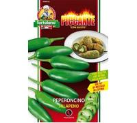 SEMENTI DI ORTAGGI DI VARIETA' STRANE & BUONE IN BUSTINE PER USO HOBBYSTICO (Peperoncino jalapeno)