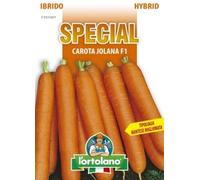 Sementi di ortaggi ibride e selezioni speciali ad uso amatoriale in buste termosaldate (80 varietà) (CAROTA JOLANA F1)