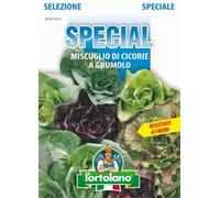 Sementi di ortaggi ibride e selezioni speciali ad uso amatoriale in buste termosaldate (80 varietà) (MISCUGLIO DI CICORIE A GRUMOLO)