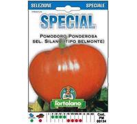 Sementi di ortaggi ibride e selezioni speciali ad uso amatoriale in buste termosaldate (80 varietà) (POMODORO PONDEROSA SEL. SILANO (TIPO BELMONTE))