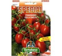 Sementi di ortaggi ibride e selezioni speciali ad uso amatoriale in buste termosaldate (80 varietà) (POMODORO POLLICINO F1)