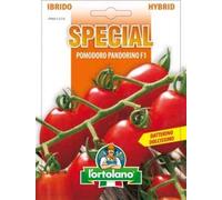 Sementi di ortaggi ibride e selezioni speciali ad uso amatoriale in buste termosaldate (80 varietà) (POMODORO PANDORINO F1)