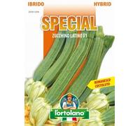 Sementi di ortaggi ibride e selezioni speciali ad uso amatoriale in buste termosaldate (80 varietà) (ZUCCHINO LATINO F1)