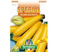 Sementi di ortaggi ibride e selezioni speciali ad uso amatoriale in buste termosaldate (80 varietà) (ZUCCHINO GOLD RUSH F1)
