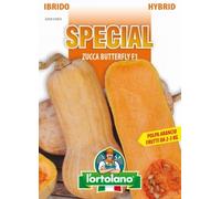 Sementi di ortaggi ibride e selezioni speciali ad uso amatoriale in buste termosaldate (80 varietà) (ZUCCA BUTTERFLY F1)