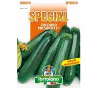 Sementi di ortaggi ibride e selezioni speciali ad uso amatoriale in buste termosaldate (80 varietà) (ZUCCHINO PRESIDENT F1)