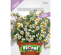 Sementi di piante aromatiche e officinali in bustina ad uso amatoriale (CAMOMILLA COMUNE)
