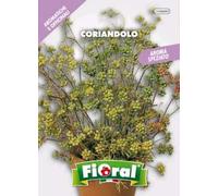 Sementi di piante aromatiche e officinali in bustina ad uso amatoriale (CORIANDOLO)