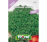 Sementi di piante aromatiche e officinali in bustina ad uso amatoriale (CRESCIONE COMUNE)