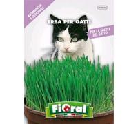 Sementi di piante aromatiche e officinali in bustina ad uso amatoriale (ERBA PER GATTI)