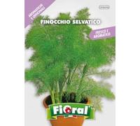 Sementi di piante aromatiche e officinali in bustina ad uso amatoriale (FINOCCHIO SELVATICO)