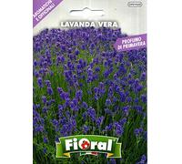 Sementi di piante aromatiche e officinali in bustina ad uso amatoriale (LAVANDA VERA)