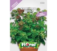 Sementi di piante aromatiche e officinali in bustina ad uso amatoriale (MAGGIORANA GENTILE)