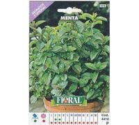 Sementi di piante aromatiche e officinali in bustina ad uso amatoriale (MENTA)