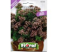 Sementi di piante aromatiche e officinali in bustina ad uso amatoriale (ORIGANO)