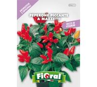Sementi di piante aromatiche e officinali in bustina ad uso amatoriale (PEPERONE PICCANTE A MAZZETTI)