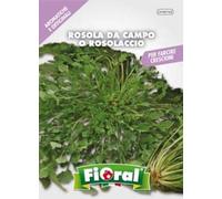 Sementi di piante aromatiche e officinali in bustina ad uso amatoriale (ROSOLA DA CAMPO O ROSOLACCIO)