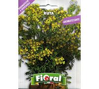 Sementi di piante aromatiche e officinali in bustina ad uso amatoriale (RUTA)