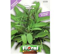 Sementi di piante aromatiche e officinali in bustina ad uso amatoriale (SALVIA)
