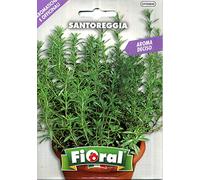 Sementi di piante aromatiche e officinali in bustina ad uso amatoriale (SANTOREGGIA)